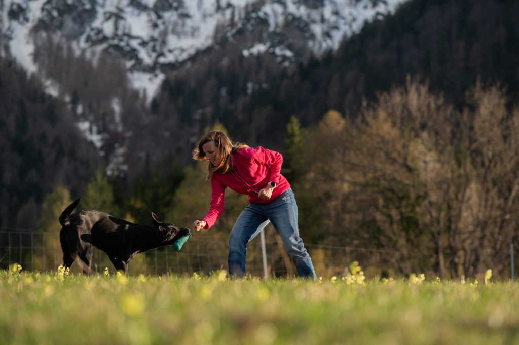 How to Train your dogs? Start With Short Sessions And Basic Commands